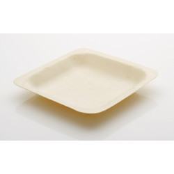 Achat Assiette thermoformée rectangulaire