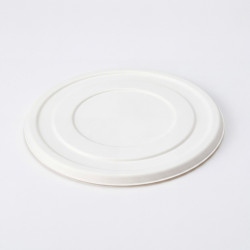 Couvercle pulpe de canne...