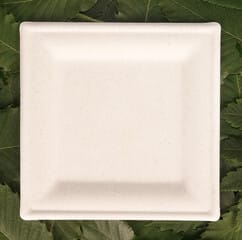 240 F 381497979 pJV5q3O4qCRIqriYbVEtRfhvtGG0S0Y7