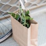 pexels blue bird 7242774