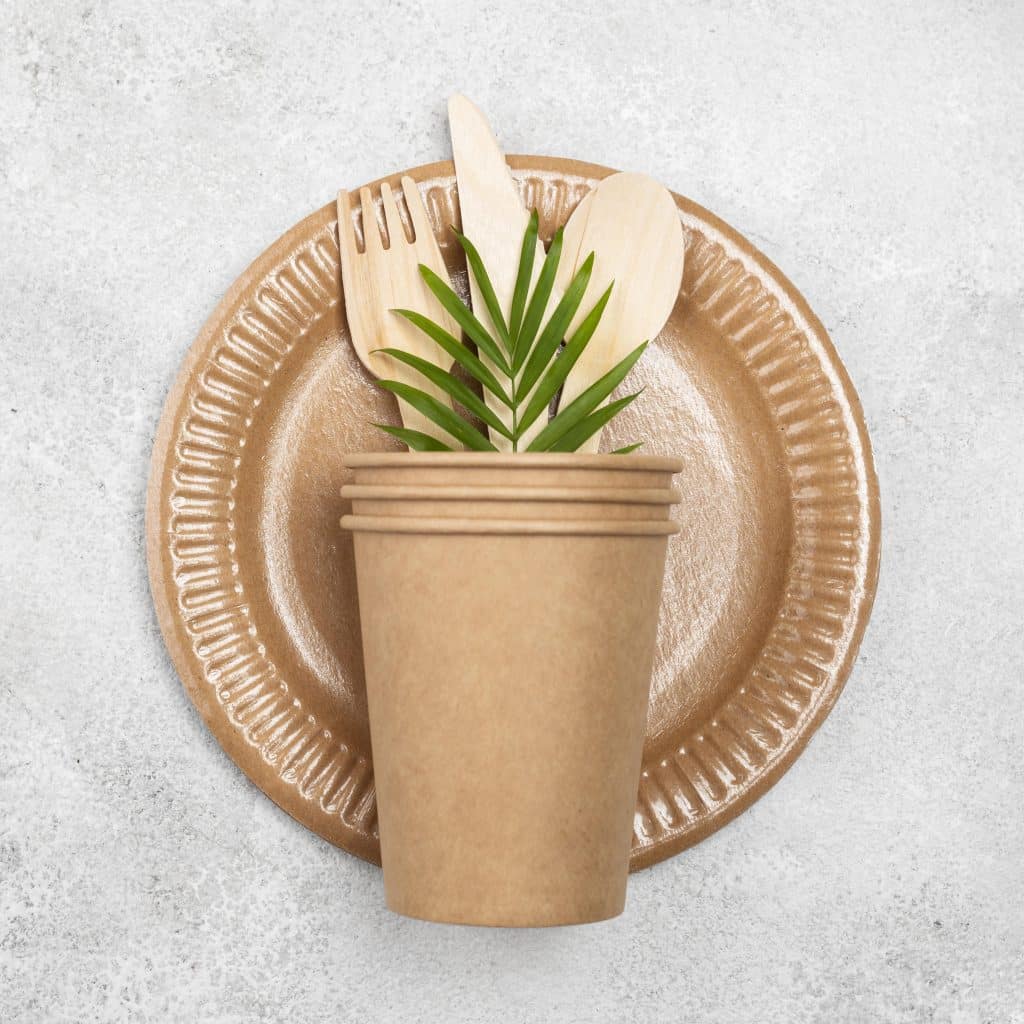 eco friendly disposable paper tableware top view
