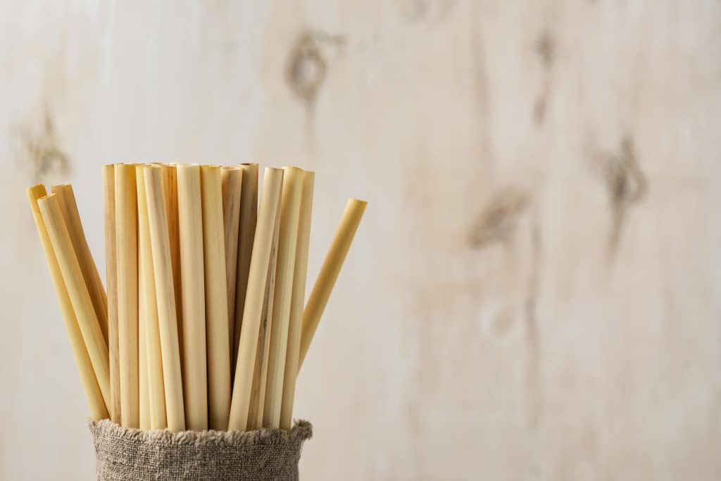 espace copie pailles tube bambou environnement ecologique