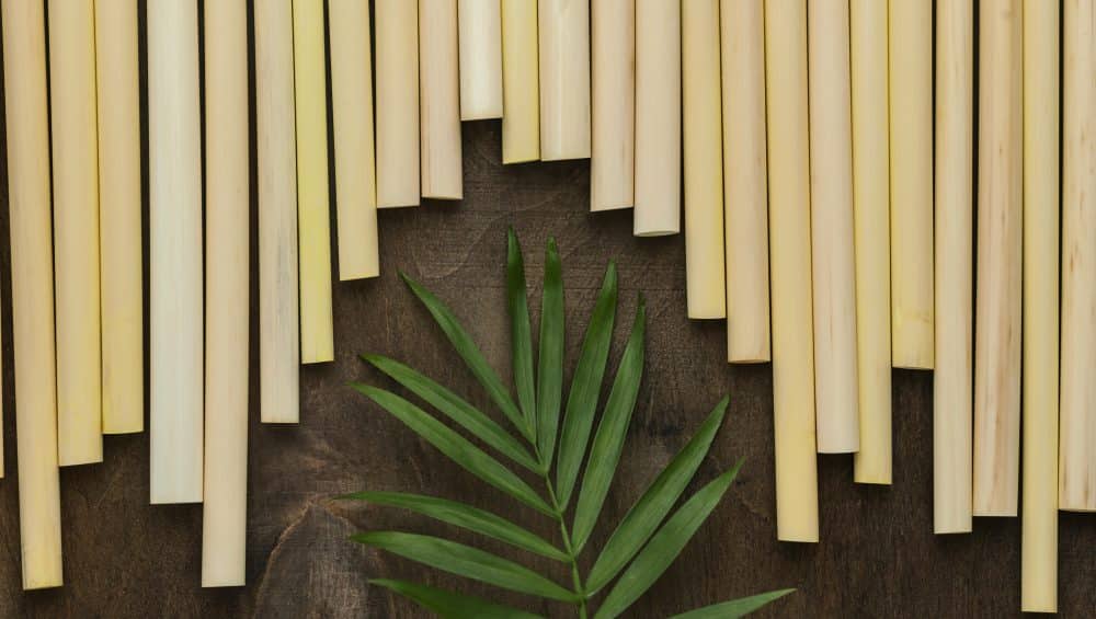 fond pailles tube bambou environnement ecologique