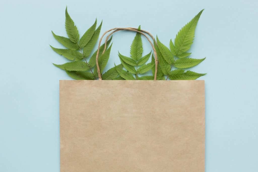 sac ecologique feuilles