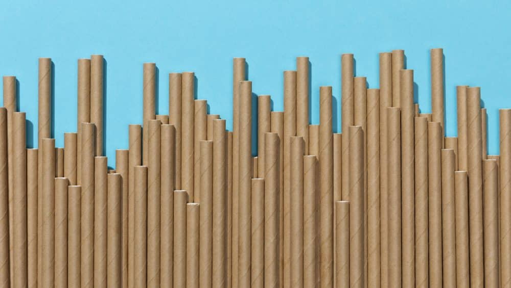 vue dessus pailles papier biodegradables