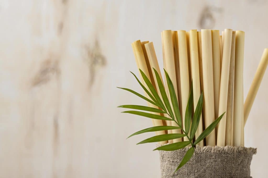 leaves eco friendly environment bamboo tube straws