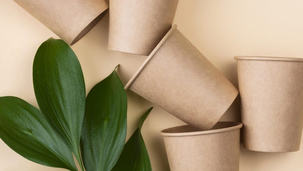 tasses vaisselle jetables ecologiques