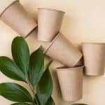 tasses vaisselle jetables ecologiques